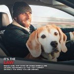 DriveSafe Pet Car Safety Belt: Adjustable Seat Belt for Dogs and Cats up to 69cm