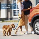 Comfortable Dog Seat Belt Harness for Car - 2-in-1 Leash and Restraint Secures to Headrest. Adjustable Bungee, Strong, Durable, 360 Degree Swivel Attach Won't Twist, Reflective, Easy to Use (Blue)