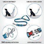 Comfortable Dog Seat Belt Harness for Car - 2-in-1 Leash and Restraint Secures to Headrest. Adjustable Bungee, Strong, Durable, 360 Degree Swivel Attach Won't Twist, Reflective, Easy to Use (Blue)