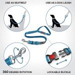 Comfortable Dog Seat Belt Harness for Car - 2-in-1 Leash and Restraint Secures to Headrest. Adjustable Bungee, Strong, Durable, 360 Degree Swivel Attach Won't Twist, Reflective, Easy to Use (Blue)