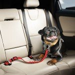 Dog Seat Belt for Car - Adjustable Dog Car Safety Harness, Elastic Anti shock Dog Seat Belt. (Red)