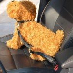 Adjustable Dog Car Seat Belt Harness, Pet Safety Belt with Elastic Strap, Dog Car Harness for Travel, Black, 20in-29in long