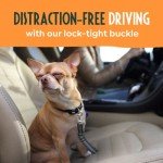 Dog Seat Belts for Cars UK, 65-100cm Adjustable Headrest Dog Car Seat Belt, Dog Car Harness with Bungee + Swivel Clip, Dog Harness for Car Dog Seat Belt, Dog Seatbelt for Dogs