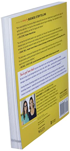 Everyday Business Storytelling: Master Visual Narratives