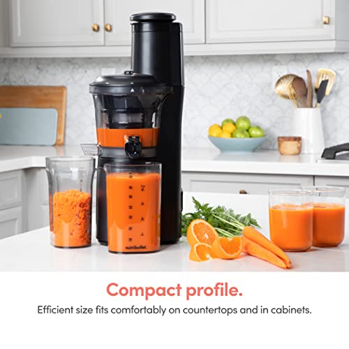 NutriBullet Slow Juicer, GrayClearBlackMulti-color, Model NBJ50300