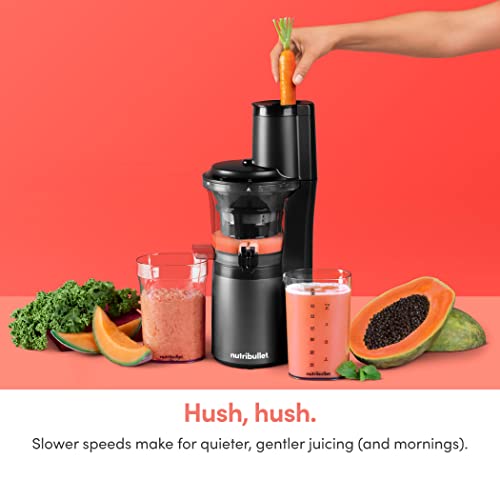 NutriBullet Slow Juicer, GrayClearBlackMulti-color, Model NBJ50300