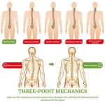 Adjustable Scoliosis Posture Corrector Braces