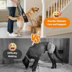 Portable Dog Sling for Rear Leg Support