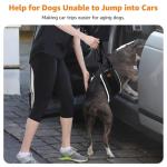 Portable Dog Sling for Rear Leg Support