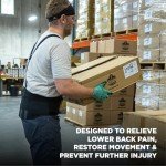 Ergodyne ProFlex 1600 Back Support Brace - Large