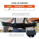 Ergodyne ProFlex 1650 Adjustable Back Support Belt