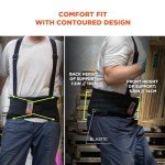 Ergodyne ProFlex 1650 Adjustable Back Support Belt