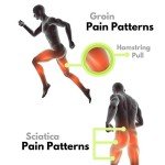 Adjustable Groin Wrap for Hip and Thigh Support