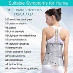 Ultimate Back Support Brace for Pain Relief - XL