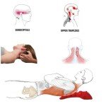 LittleMum Trapezius Neck and Shoulder Massager