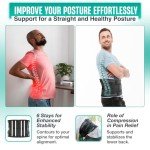 Modvel Breathable Lower Back Pain Support Belt