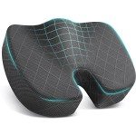 TushGuard Memory Foam Seat Cushion for Pain Relief