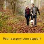 Medium Abdominal Compression Support Belt