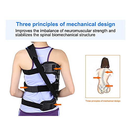 Adjustable Spinal Brace for Scoliosis Recovery