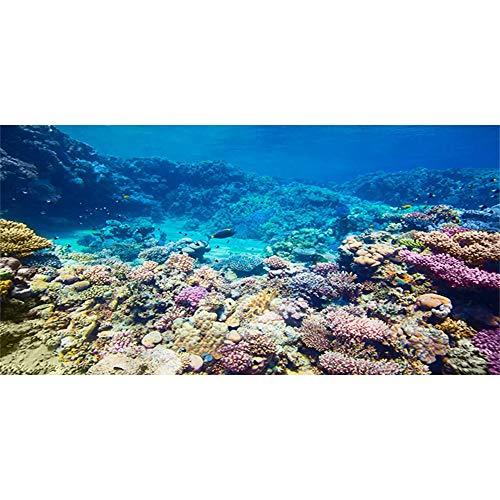 Coral Reef Underwater Aquarium Background - 48x24 Inches