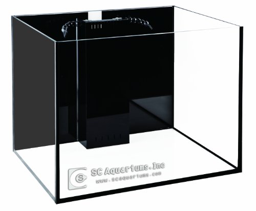 SCA Starfire Rimless Aquarium with Overflow, 66 Gallon