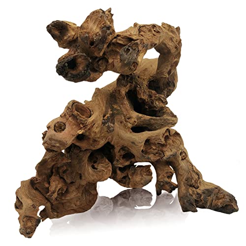 Natural Driftwood Decoration for Aquariums and Terrariums