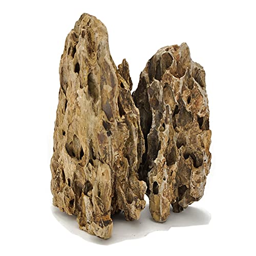 Rocks and driftwood