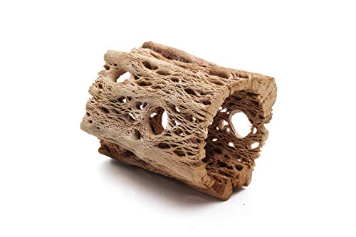 Natural Cholla Wood for Aquariums - 3 to 12 Inch