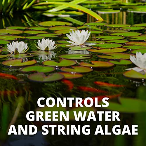 Tetra Pond AlgaeControl for Clear Ponds, 16.9 oz