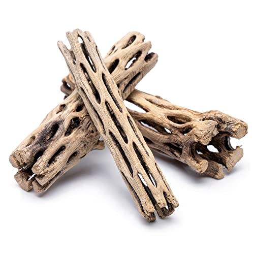 Cholla Wood Driftwood Logs for Aquariums and Pets