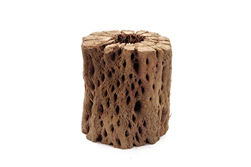 Natural Cholla Wood for Aquariums - 3 to 12 Inch