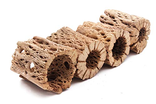 Natural Cholla Wood for Aquariums - 3 to 12 Inch