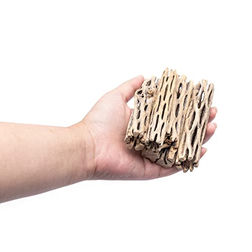 Cholla Wood Driftwood Logs for Aquariums and Pets