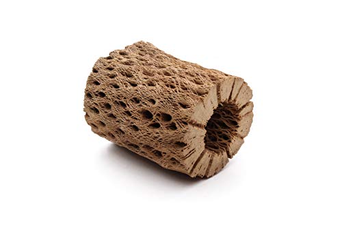 Natural Cholla Wood for Aquariums - 3 to 12 Inch