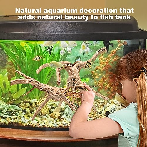Natural Spider Wood Driftwood for Aquariums - 7 PCS
