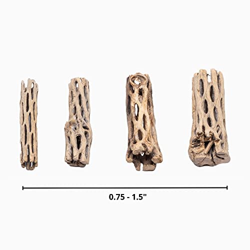 Cholla Wood Driftwood Logs for Aquariums and Pets