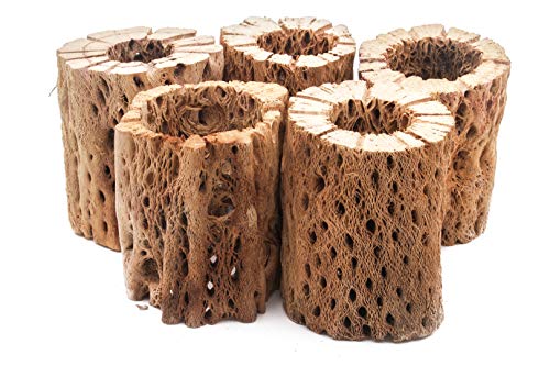 Natural Cholla Wood for Aquariums - 3 to 12 Inch