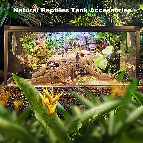 Natural Spider Wood Driftwood for Aquariums - 7 PCS
