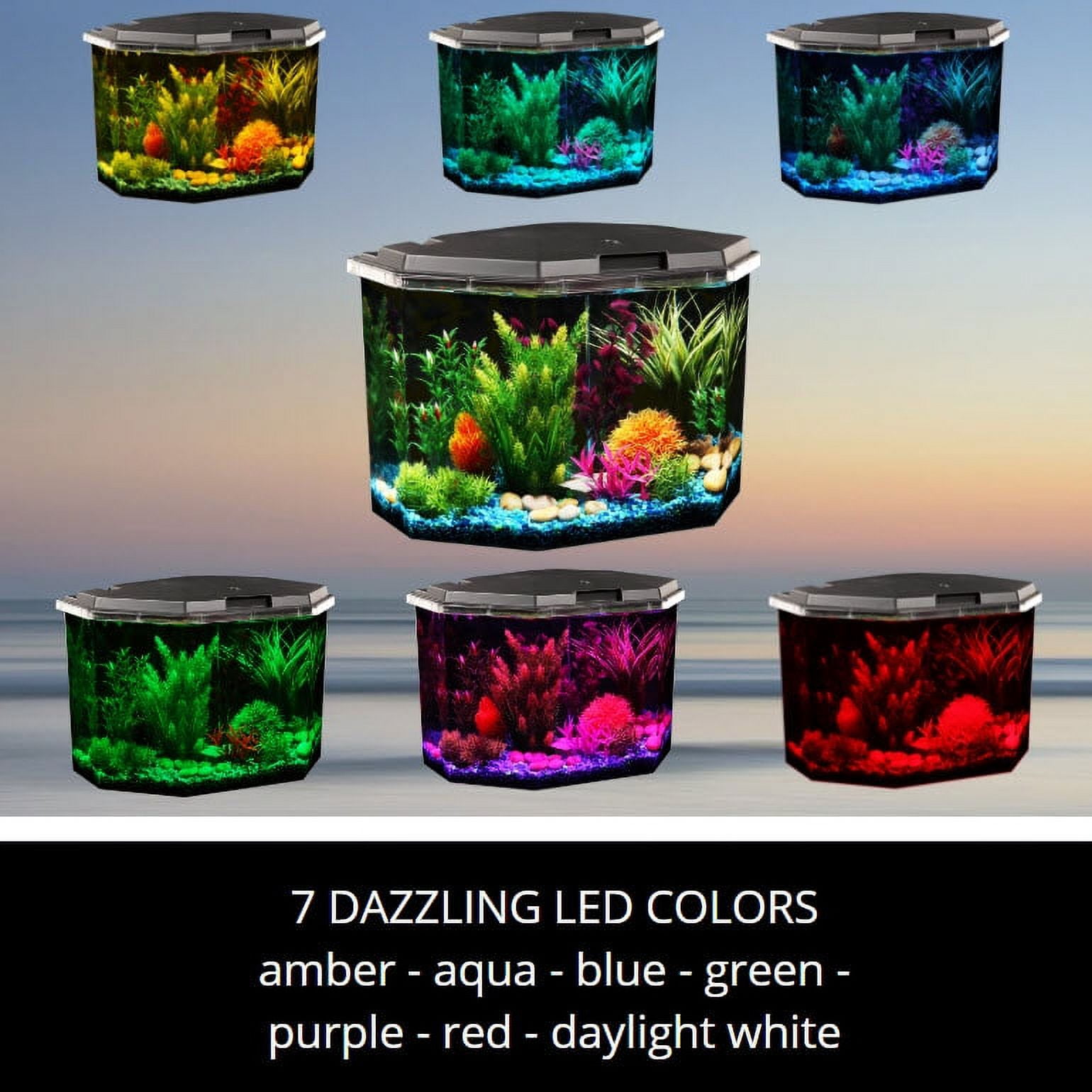6.5-Gallon Semi-Hex Aquarium Kit with LED Lighting