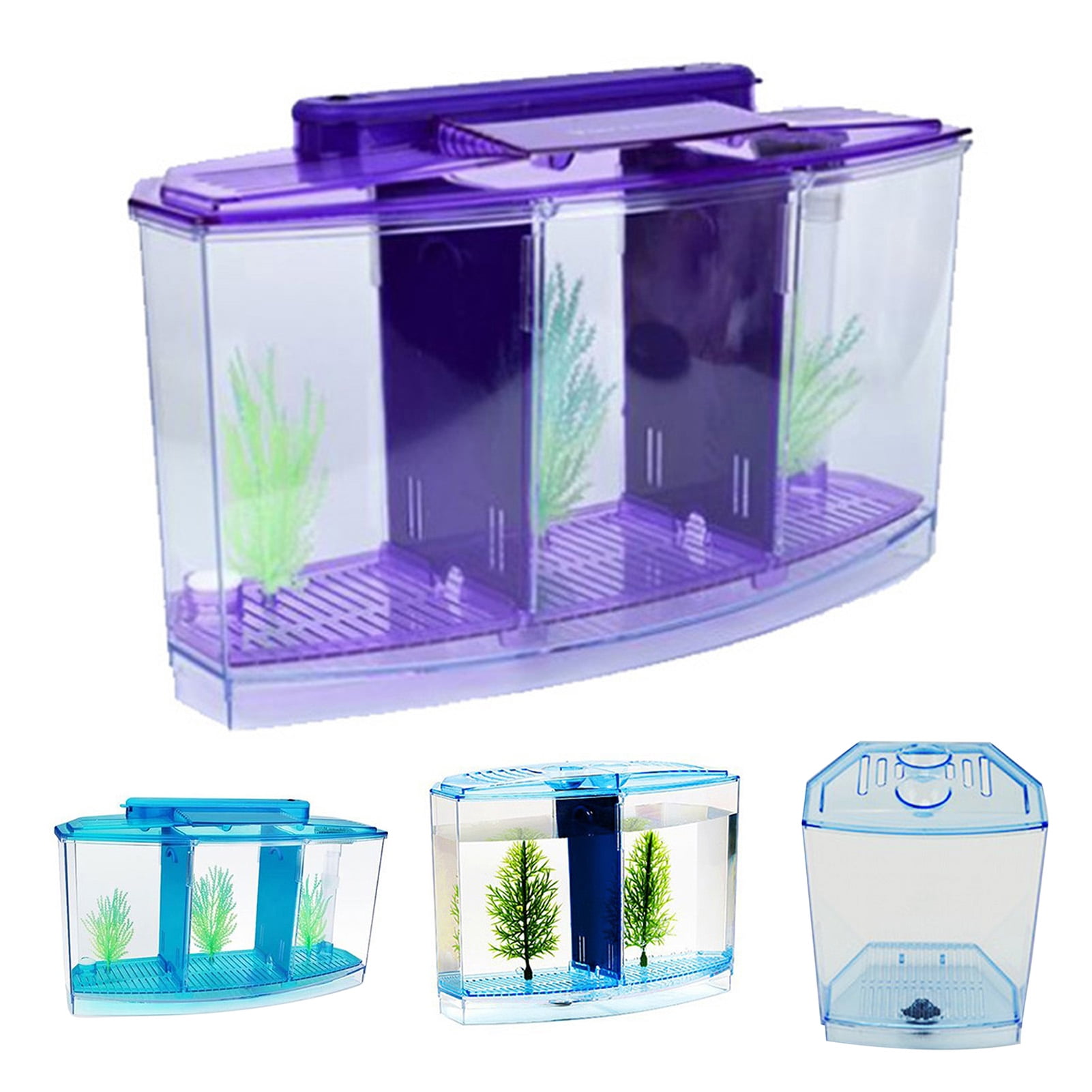 LED Betta Tank with Plants and Gravel