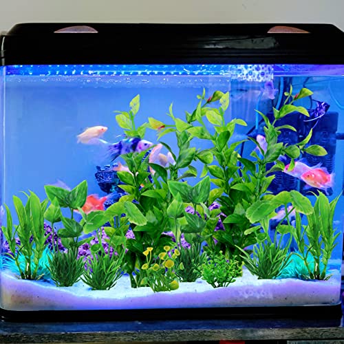 PietyPet Aquarium Plants for Vibrant Fish Tanks