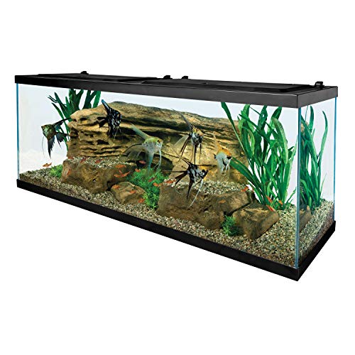 Tetra Glass Aquarium 55 Gallons, Rectangular Fish Tank (NV52018)