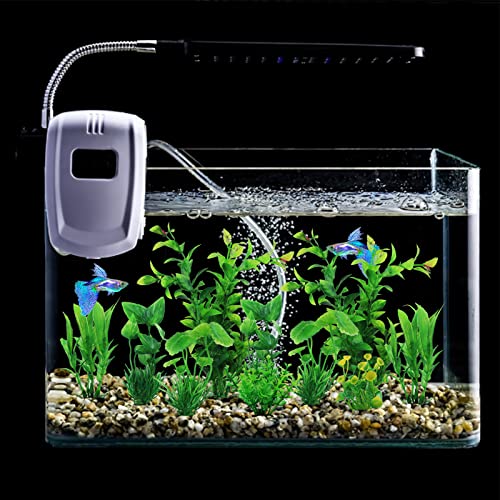 PietyPet Aquarium Plants for Vibrant Fish Tanks
