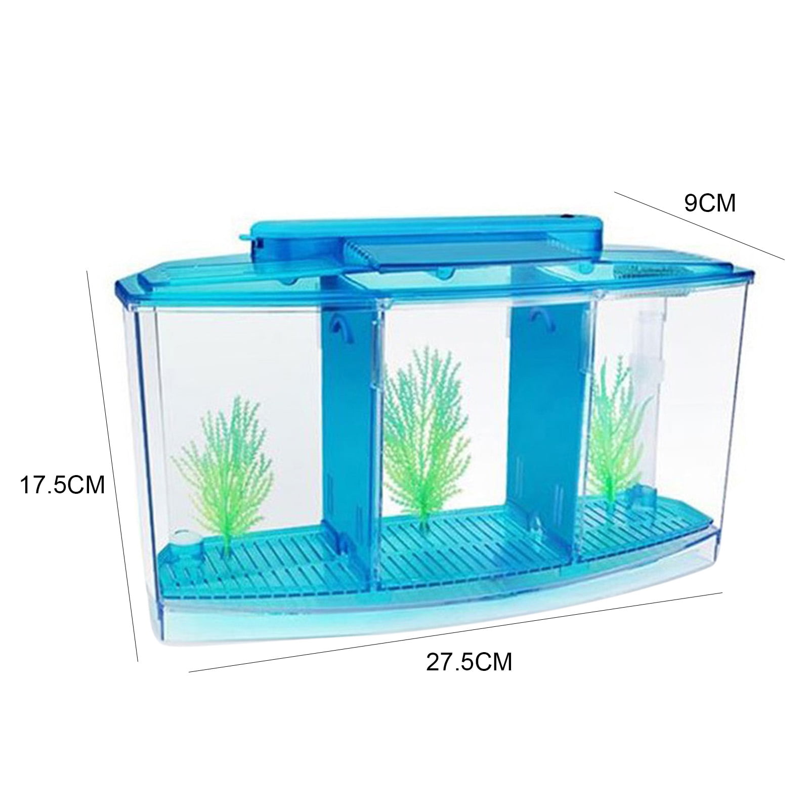 LED Betta Tank with Plants and Gravel