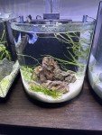 AquaNatural 10lb Sugar White Sand for Aquariums