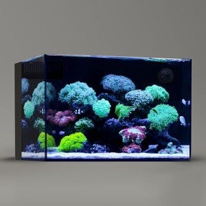 Rimless 26-Gallon Ultra Clear Aquarium Tank