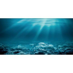 Underwater Sunshine Theme Aquarium Background 72x24 Inches
