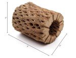 Natural Cholla Wood for Aquariums - 3 to 12 Inch