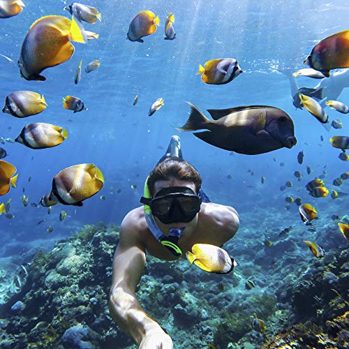 GoPro HERO8 Black - 4K Waterproof Action Camera