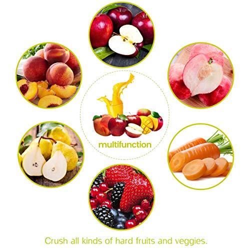 SQUEEZE Master 7L Apple Wine Crusher Grinder